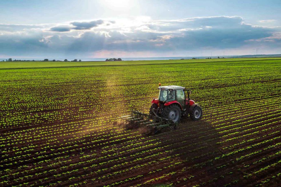 http://Direito%20Agrário%20Ambiental